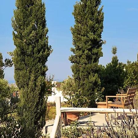 Christou Estate & Villas Pýrgos Exteriér fotografie